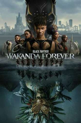 : Black Panther Wakanda Forever 2022 German DL LD BDRip x264 - FSX