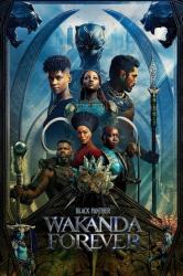 : Black Panther Wakanda Forever 2022 Complete Bluray-Untouched