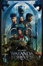 : Black Panther Wakanda Forever 2022 German Eac3 Dl 2160p Hybrid Web Dv Hdr10Plus Hevc-QfG