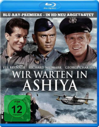 : Wir warten in Ashiya 1964 German 720p BluRay x264 ReriP-Wdc