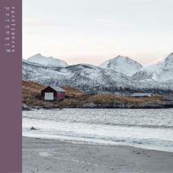 : Glåsbird - Norskfjǫrðr (2020)