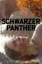 : Schwarzer Panther 2014 German 1080p WebHd x264-Slg