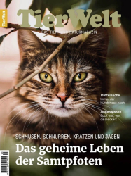 : TierWelt - Nr 03 2023