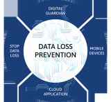 : Trellix Data Loss Prevention Endpoint v11.10.5.5