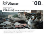 :  Spektrum Die Woche Magazin No 08 2023