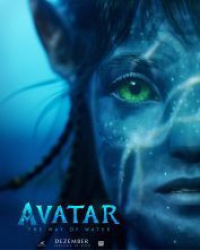: Avatar 2 The Way of Water 2022 German 1080p AC3 microHD x264 - RAIST