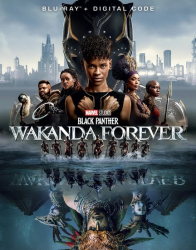: Black Panther Wakanda Forever 2022 German Dd51 Dl 720p BluRay x264-Jj