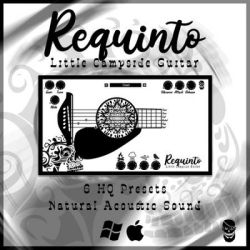 : Pyrit Music Requinto Little Campside Guitar (VSTI) v1.0.0