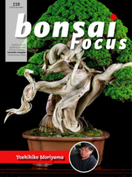 : Bonsai Focus Magazin Nr 01 Janaur - Februar 2023