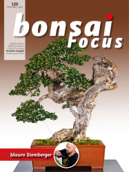 : Bonsai Focus Magazin Nr 02 März - April 2023