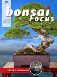 : Bonsai Focus Magazin Nr 06 November - Dezember 2022