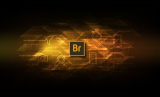 : Adobe Bridge 2023 v13.0.3.693 