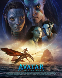 : Avatar 2 The Way of Water 2022 German AAC51 DL 1080p WEB x264 - FSX