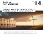 :  Spektrum der Wissenschaft Die Woche Magazin No 14 2023