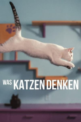 : Was Katzen denken 2022 German Dl Doku 1080p Web H264-Fawr