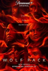 : Wolf Pack S01E02 German Dl 720p Web x264-WvF