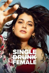 : Single Drunk Female S02E09 German Dl 1080P Web H264-Wayne