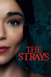 : The Strays 2023 German Dl Dv Hdr 1080p Web H265-Dmpd