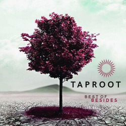 : Taproot - Best of Besides (2023)