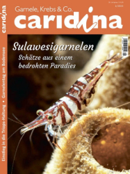 : Caridina - Nr.1 2023