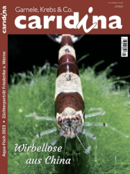 : Caridina - Nr.2 2023