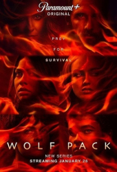 : Wolf Pack S01E08 German Dl 720p Web x264-WvF
