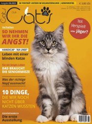 : Our Cats - Juni 2023