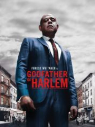 : Godfather of Harlem Staffel 1 2019 German AC3 microHD x264 - RAIST