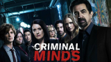 : Criminal Minds S16 Complete German 720p WEBRip x264 - FSX