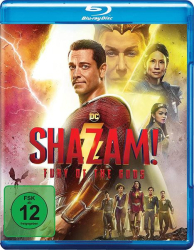 : Shazam Fury of the Gods 2023 German Dl 1080p BluRay x264-DetaiLs