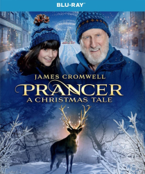 : Prancer A Christmas Tale 2022 German Webrip x264-Fsx