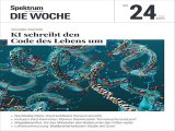 :  Spektrum der Wissenschaft Die Woche Magazin No 24 2023