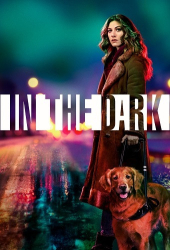 : In the Dark S03 Complete German 720p WEBRip x264 - FSX