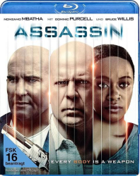 : Assassin 2023 German Ac3 Webrip x264-ZeroTwo