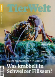 : TierWelt Magazin No 13 2023
