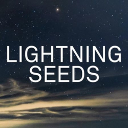 : The Lightning Seeds - Sammlung (10 Alben) (1990-2022)