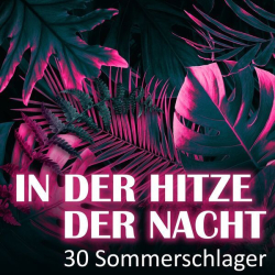 : In der Hitze der Nacht - 30 Sommerschlager (2023) Flac