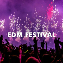 : EDM Festival (2023)