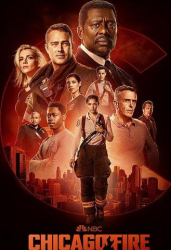 : Chicago Fire S11E14 German Dl 720P Web X264-Wayne