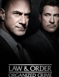 : Law And Order Organized Crime S03E10 German Dl 1080p Web h264-WvF