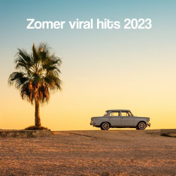 : Zomer Viral Hits 2023 - Everytime you break my heart (2023)