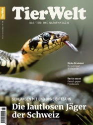 : TierWelt - Nr.15 2023