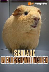 : Schlaue Meerschweinchen 2010 German Doku 1080P WebHd H264-Gwd