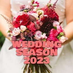 : Wedding Season 2023 (2023)