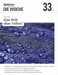 : Spektrum der Wissenschaft Die Woche Magazin No 33 Vom 17  August 2023
