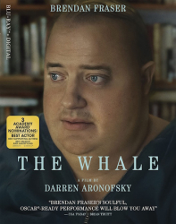 : The Whale 2022 German Dts Dl 720p BluRay x264-Jj