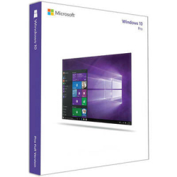 : Windows 10 Pro 22H2 build 19045.3393 (x64)