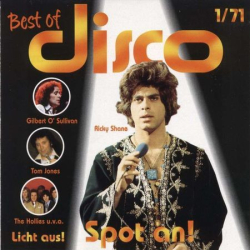 : Best of Disco 1970-1979 - Sammlung (9 Alben) (1999)