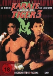 : Karate Tiger 3 - Blood Brothers DC 1990 German 1080p AC3 microHD x264 - RAIST