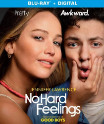 : No Hard Feelings 2023 German Ac3 Bdrip x264-KiNowelt